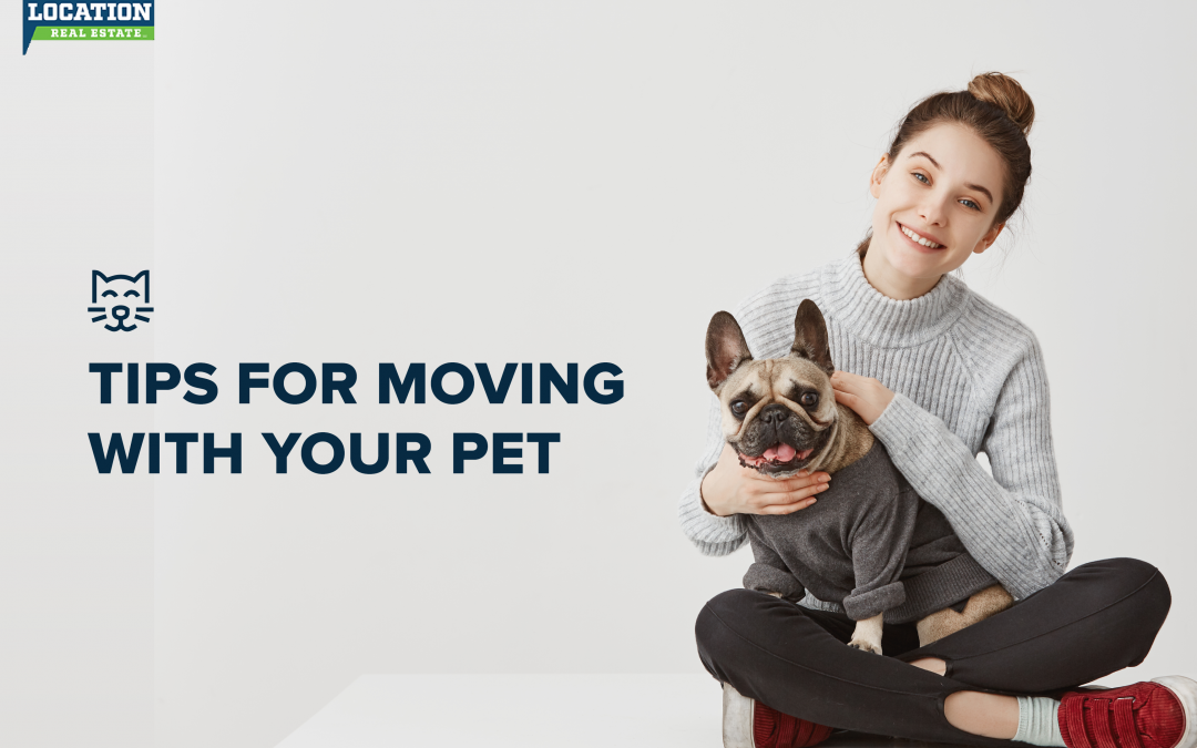 Tips for Moving with Your Pet